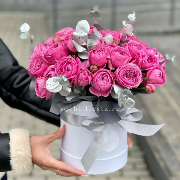 Бокс мисти баблс №2 в Энгельсе