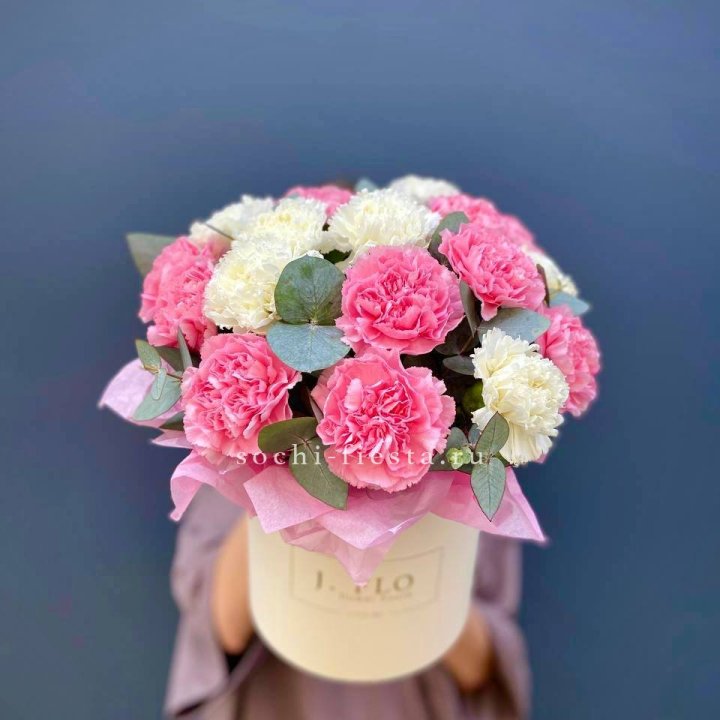 Диантусы в цилиндре в Энгельсе