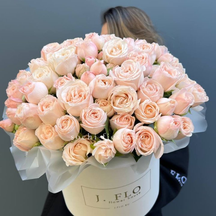 Бомбастик бокс Премьер в Энгельсе