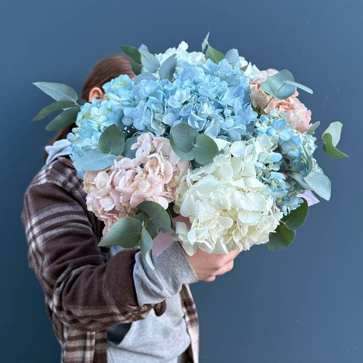 Гортензии в коробочке в Энгельсе