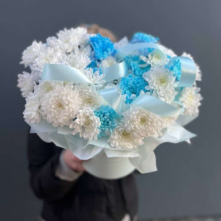 Хризнтемы в боксе в Энгельсе