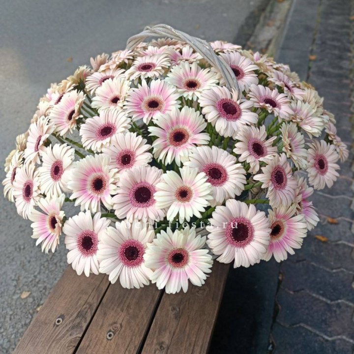 Корзина с герберами  в Энгельсе