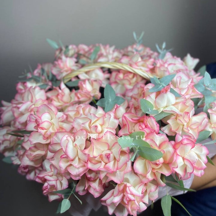 51 джумилия  в корзине   в Энгельсе