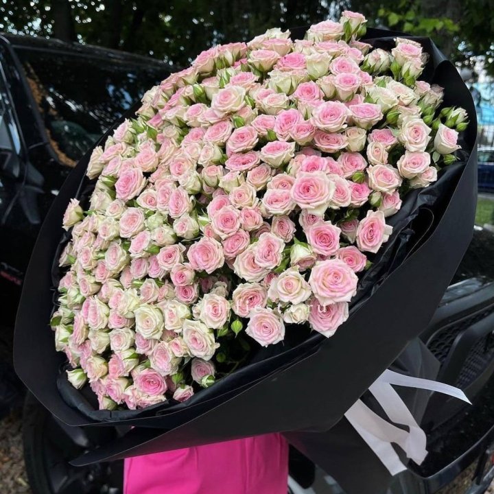 101 кустовая роза "Твистер" в Энгельсе