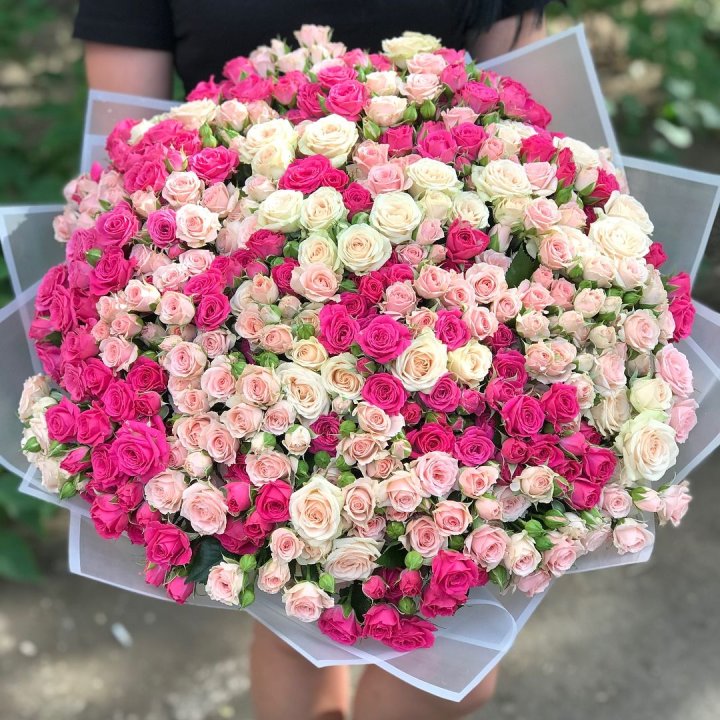 101 кустовая роза в Энгельсе