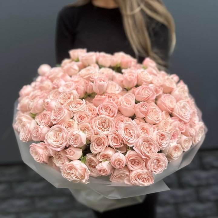 51 кустовая роза Бомбастик в Энгельсе