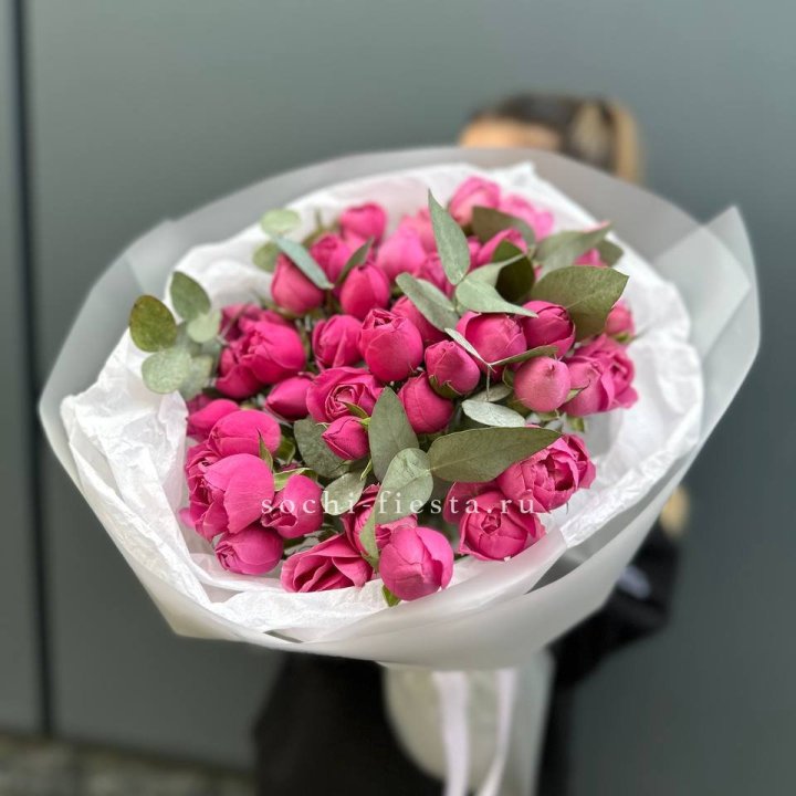 17 Мисти бабблс в Энгельсе