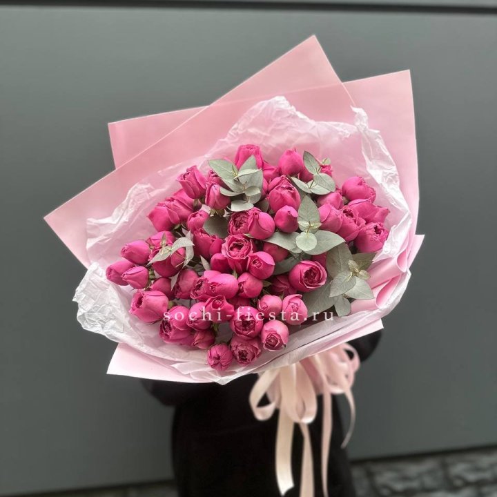 25 Мисти бабблс в Энгельсе