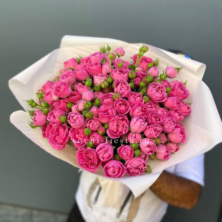 Мисти Баблс 35шт в Энгельсе