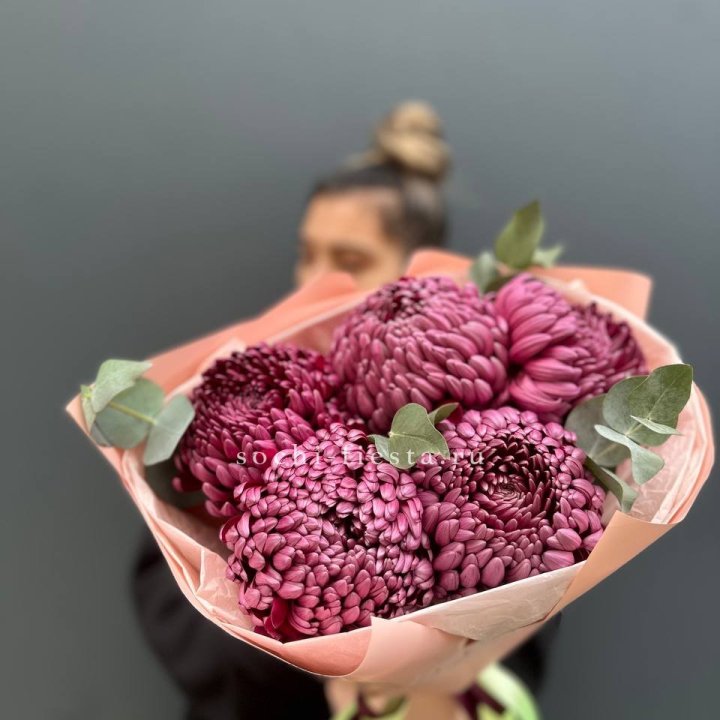 Хризантемы  Бигуди  в Энгельсе