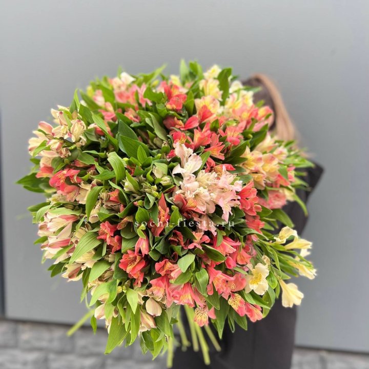 51 альстромерия в Энгельсе