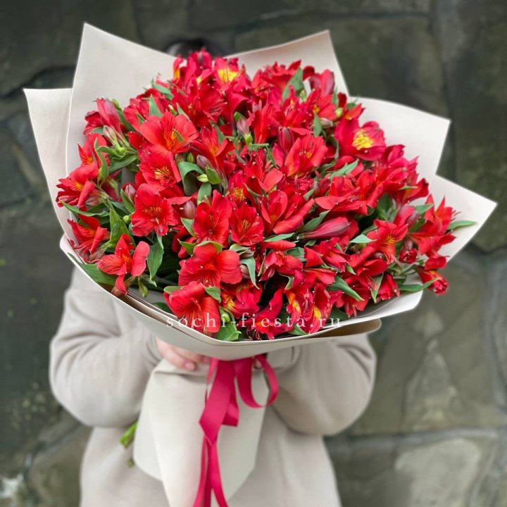 51 альстромерия в Энгельсе