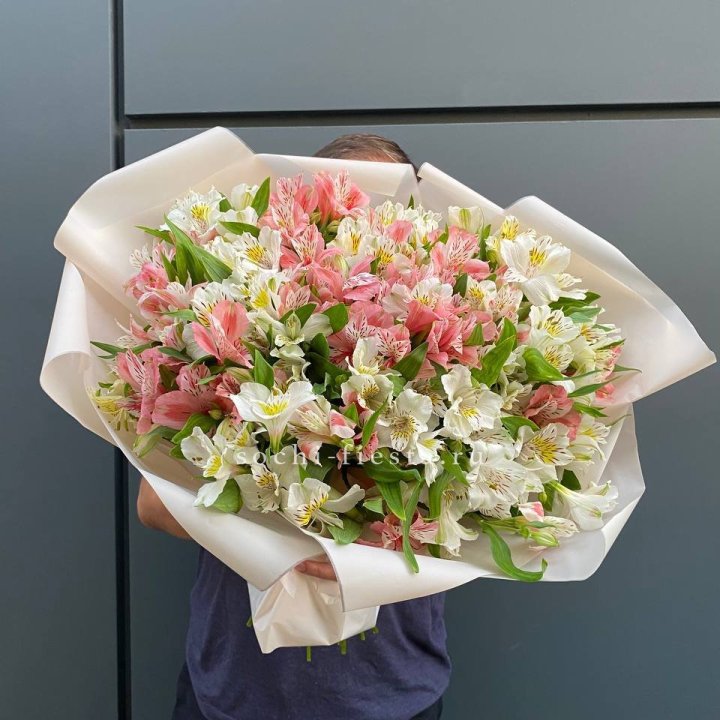 39 альстромерий в Энгельсе