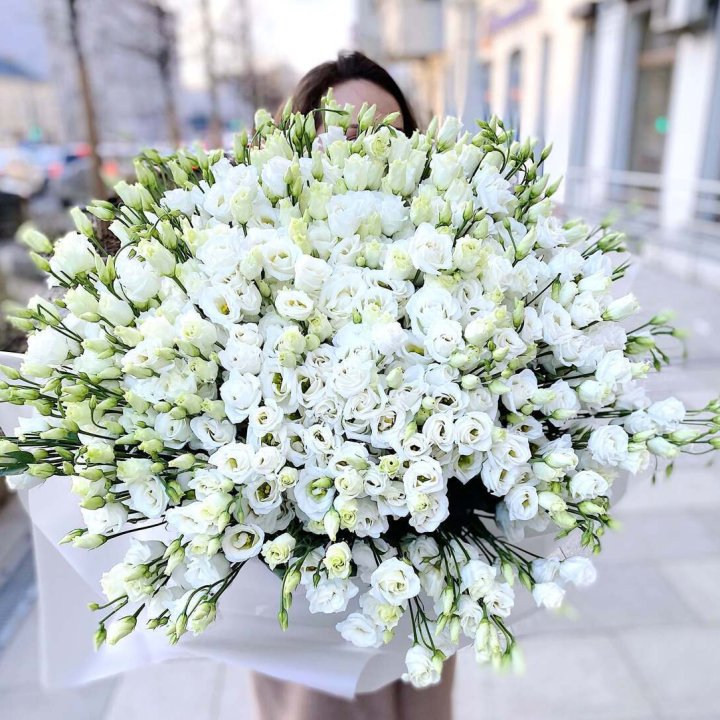 101 белая эустома в Энгельсе