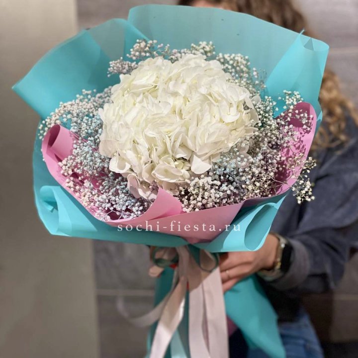 Гортензия "Райдов" в Энгельсе