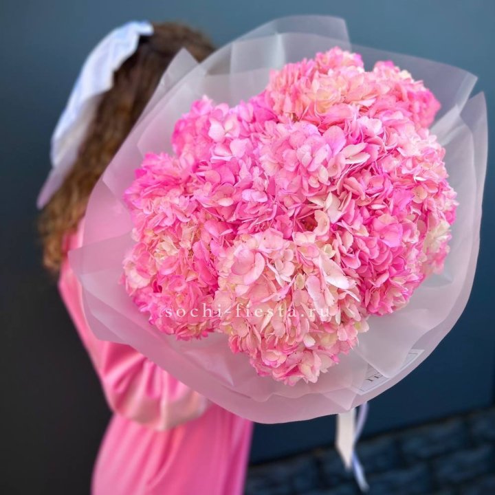 7 ярко розовых гортензий в Энгельсе