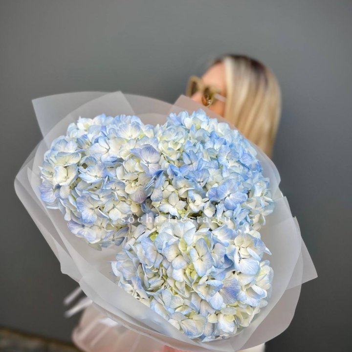 Букет из 3 голубых гортензий  в Энгельсе