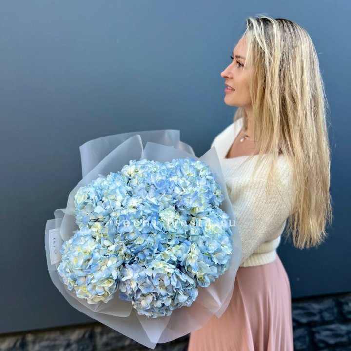 7 голубых гортензий в Энгельсе