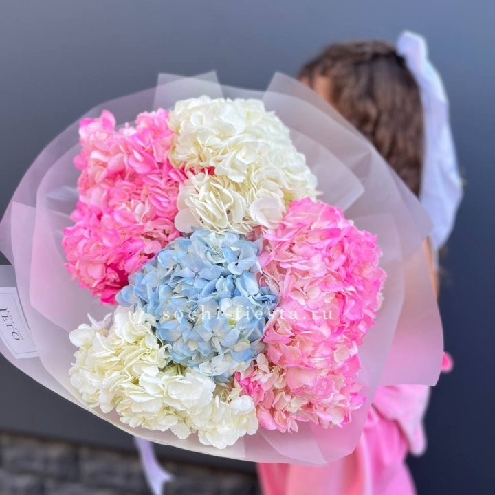 7 гортензий микс в Энгельсе