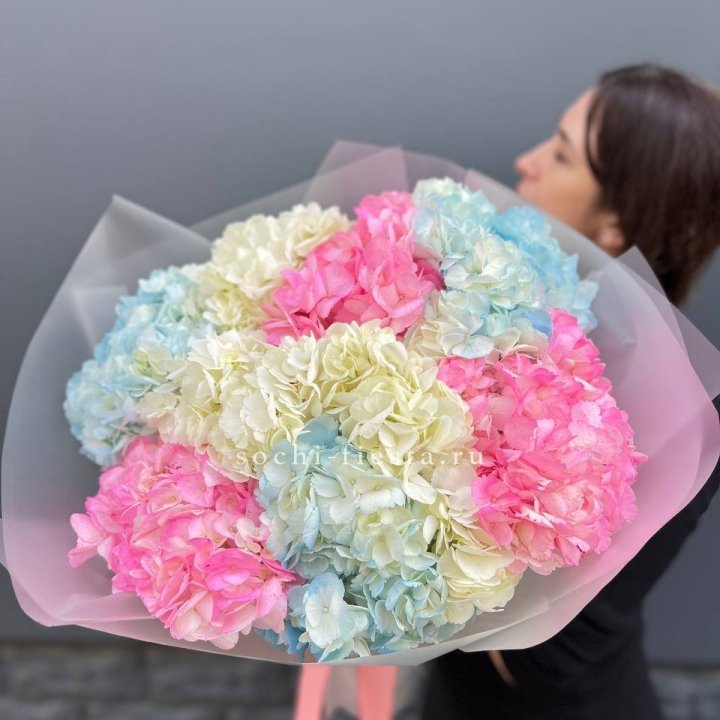 9 гортензий микс в Энгельсе