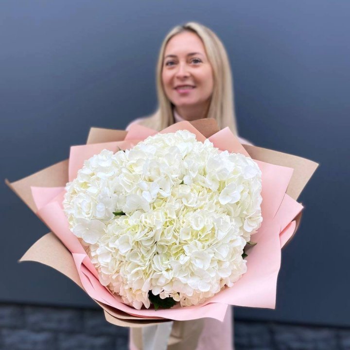 Гортензия белая в Энгельсе