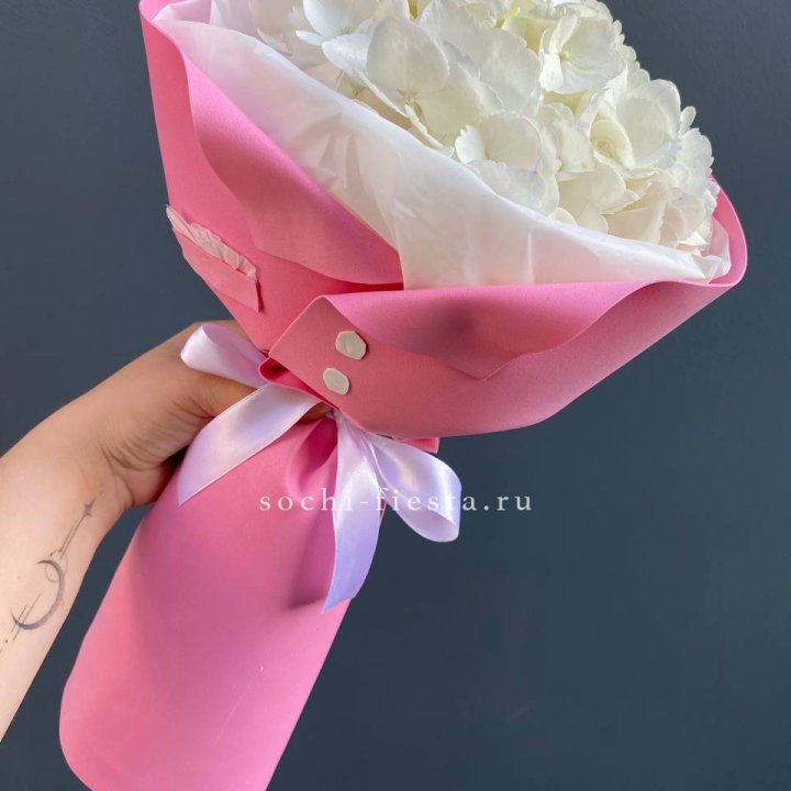 Гортензия в розовом пиджаке в Энгельсе