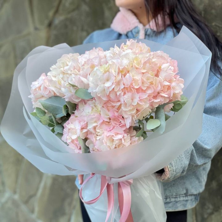 5 розовых гортензий в Энгельсе