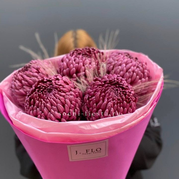 Хризантемы  Бигуди с стифой в Энгельсе