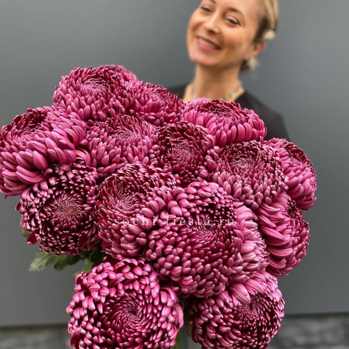 Охапка хризантем Бигуди в Энгельсе