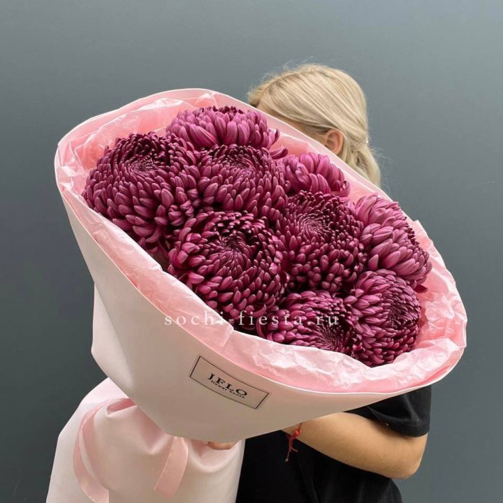 9 хризантем бигуди в Энгельсе