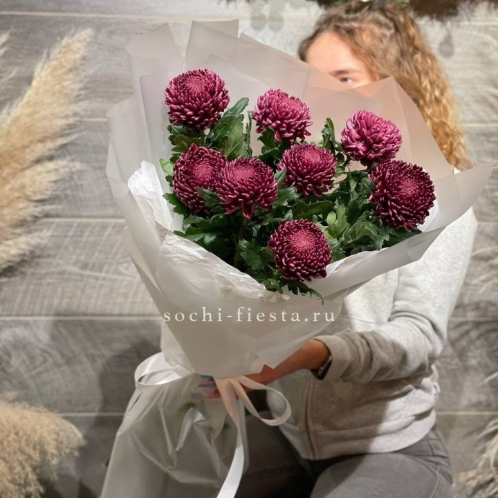 Хризантемы Бигуди в Энгельсе