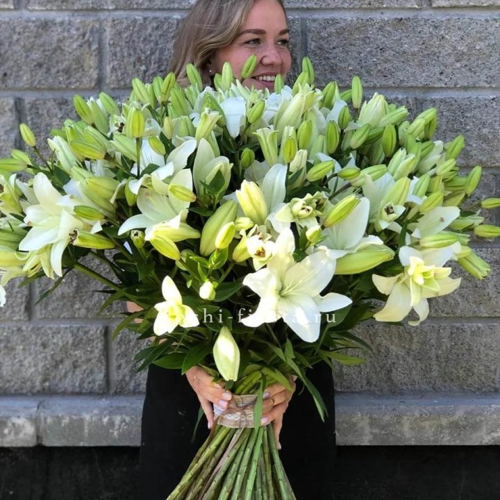 51 лилия в Энгельсе