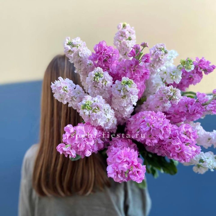 Охапка маттиолы в Энгельсе