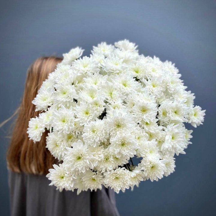 Охапка Хризантемы кустовой в Энгельсе