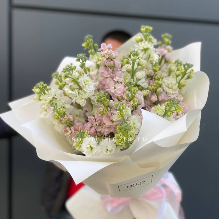 29 маттиол  в Энгельсе