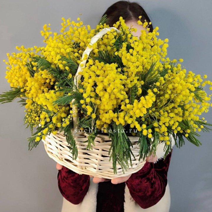 Корзина ароматной мимозы в Энгельсе