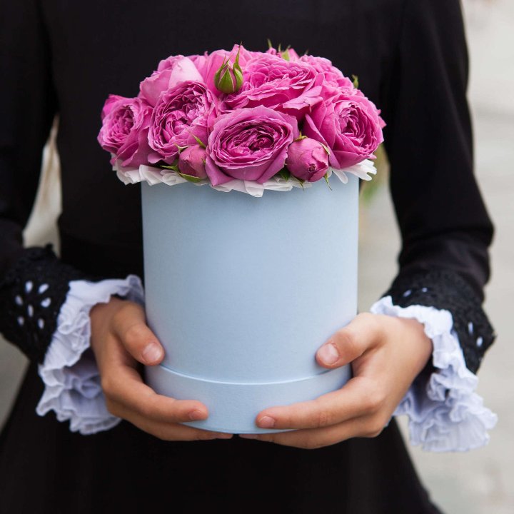 Бокс мини мисти в Энгельсе