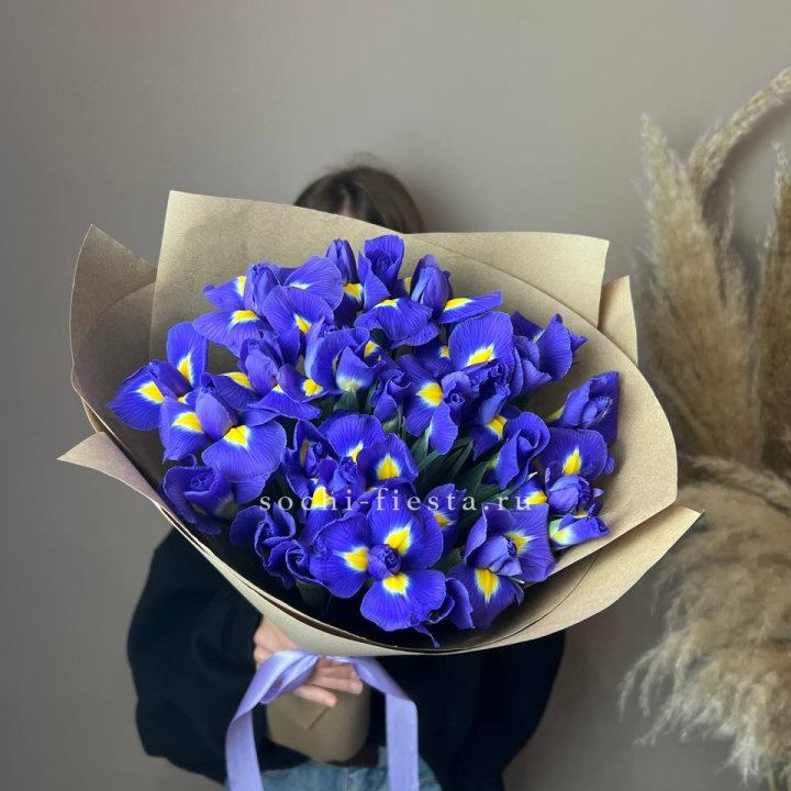 Ирисы в Энгельсе