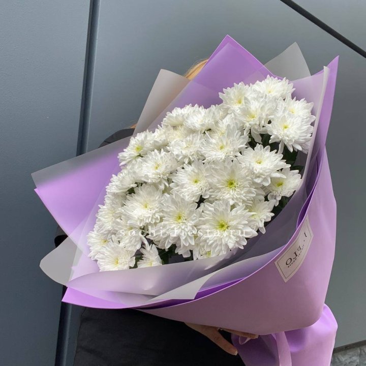  7 хризантем  в Энгельсе