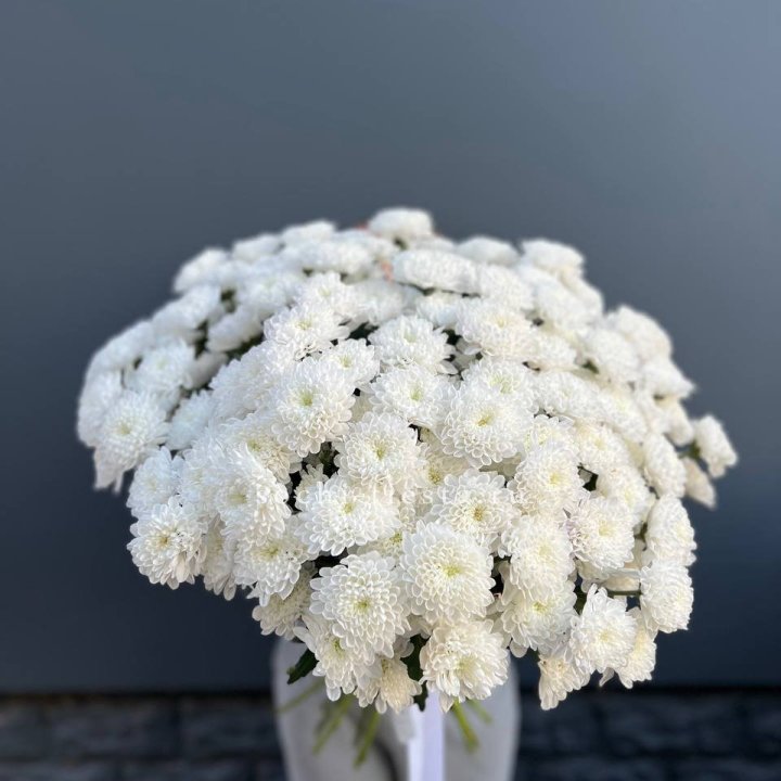  25 хризантем белых в Энгельсе