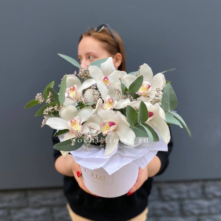 7 орхидей в боксе в Энгельсе