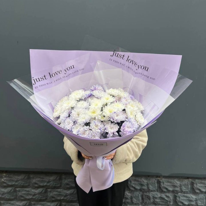 9 воздушных хризантем в Энгельсе