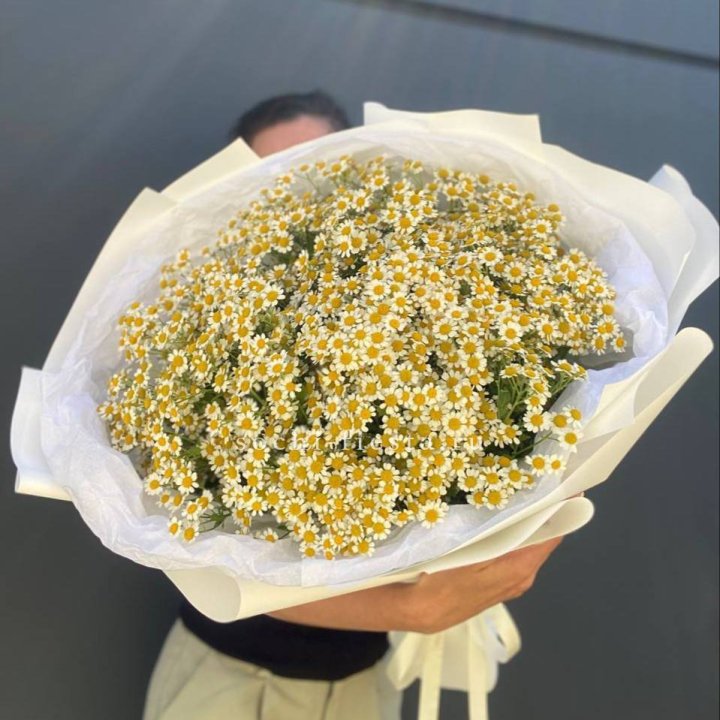 Букет ромашек №2 в Энгельсе
