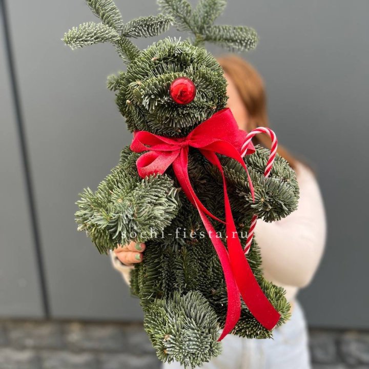 "Олень" из нобилиса в Энгельсе