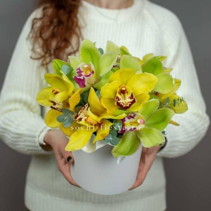 Бокс с орхидей №1 в Энгельсе