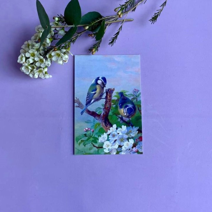 Открытка к букету "Птицы" в Энгельсе