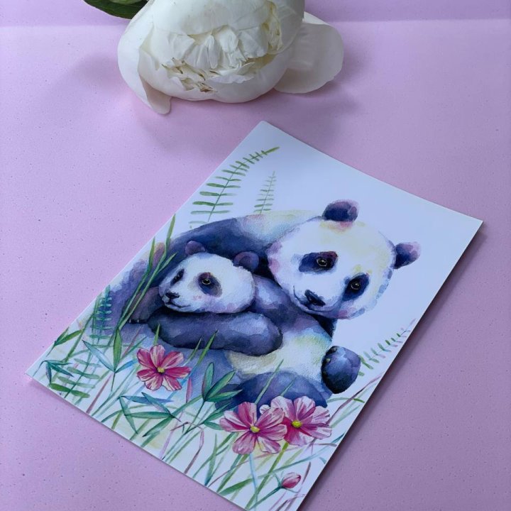 Открытка к букету "Объятие Панды" в Энгельсе