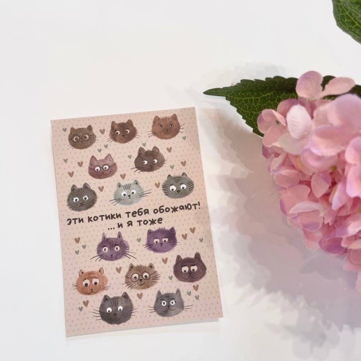 Открытка к букету "Котики" в Энгельсе