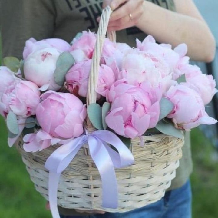 15 пионов в корзине в Энгельсе