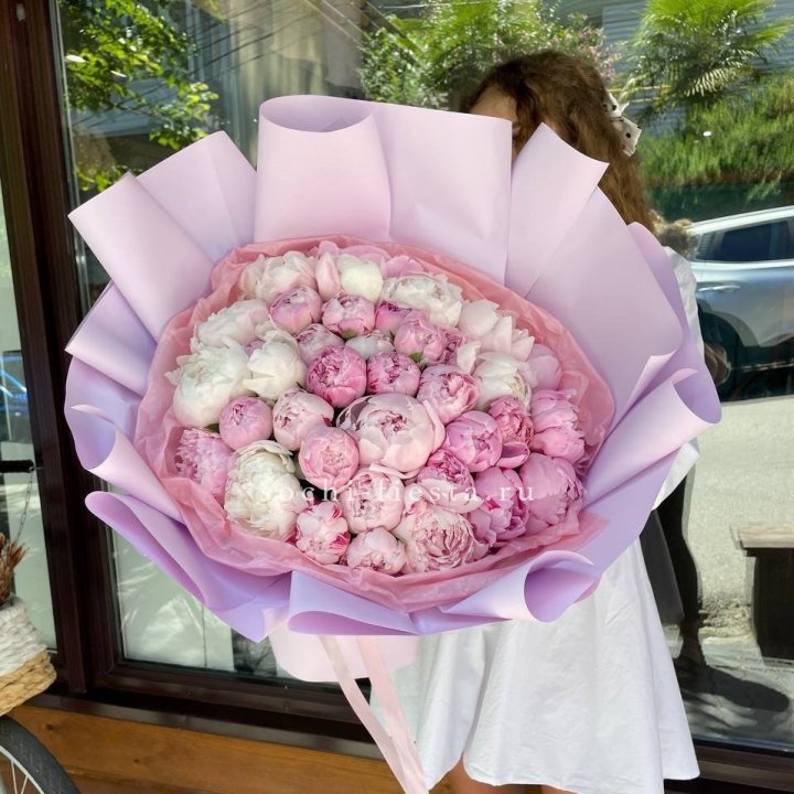 51 розовый пион в Энгельсе